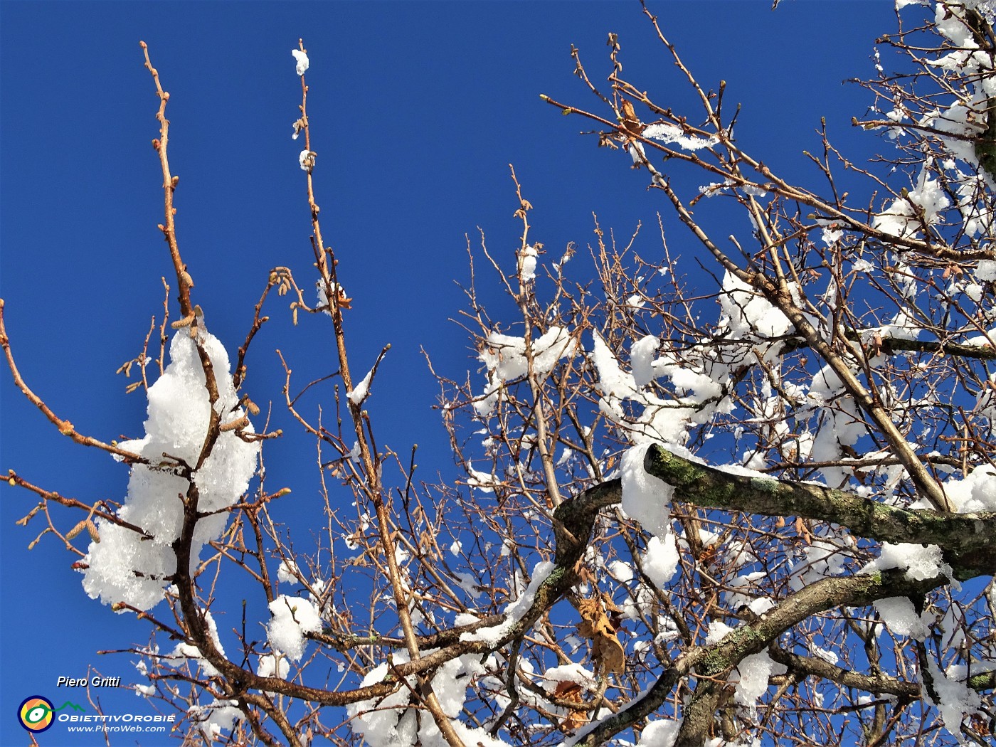 17 La neve si sta sciogliendo al sole.JPG